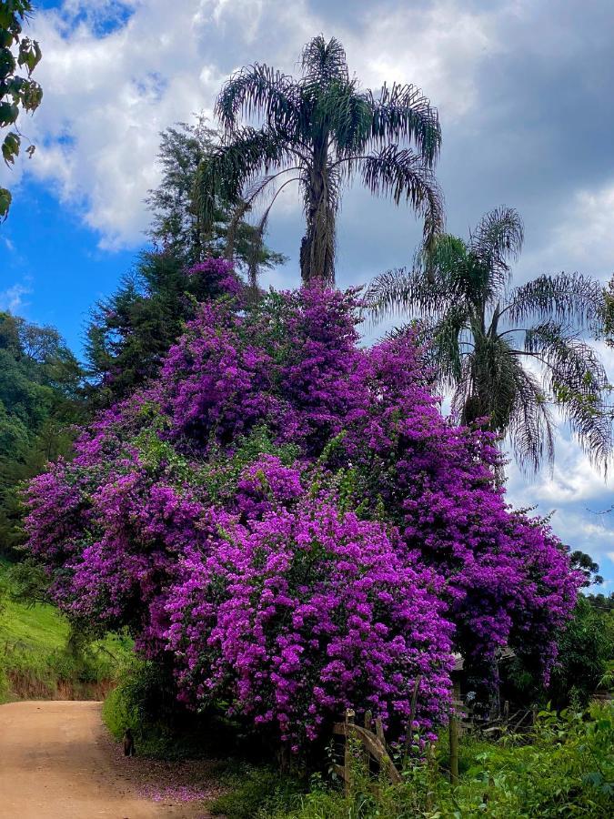 Canto das Águas Alagoa Esterno foto